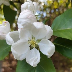 Meet your Posher, Pagel